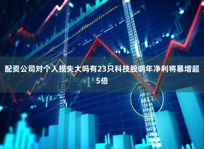 配资公司对个人损失大吗有23只科技股明年净利将暴增超5倍